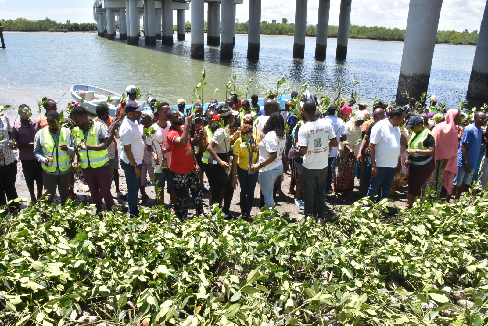 ‘Adopt-a-Forest’ Initiative Targets 1 Million Trees Across Africa to Save Kenya’s Coastline for Sustainability